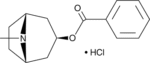 Tropacocaine HCl - Image 2